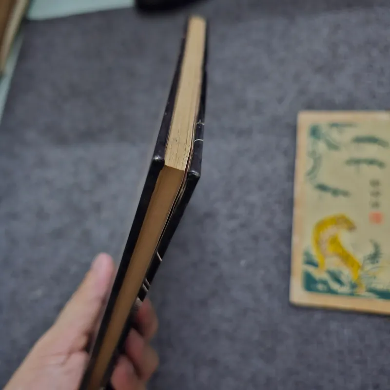 Xứ đàng trong năm 1621 - bìa cứng  747318