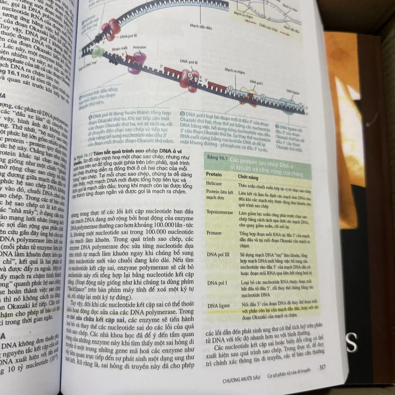 [Miễn ship] Sách Sinh Học Campbell Reece 707824