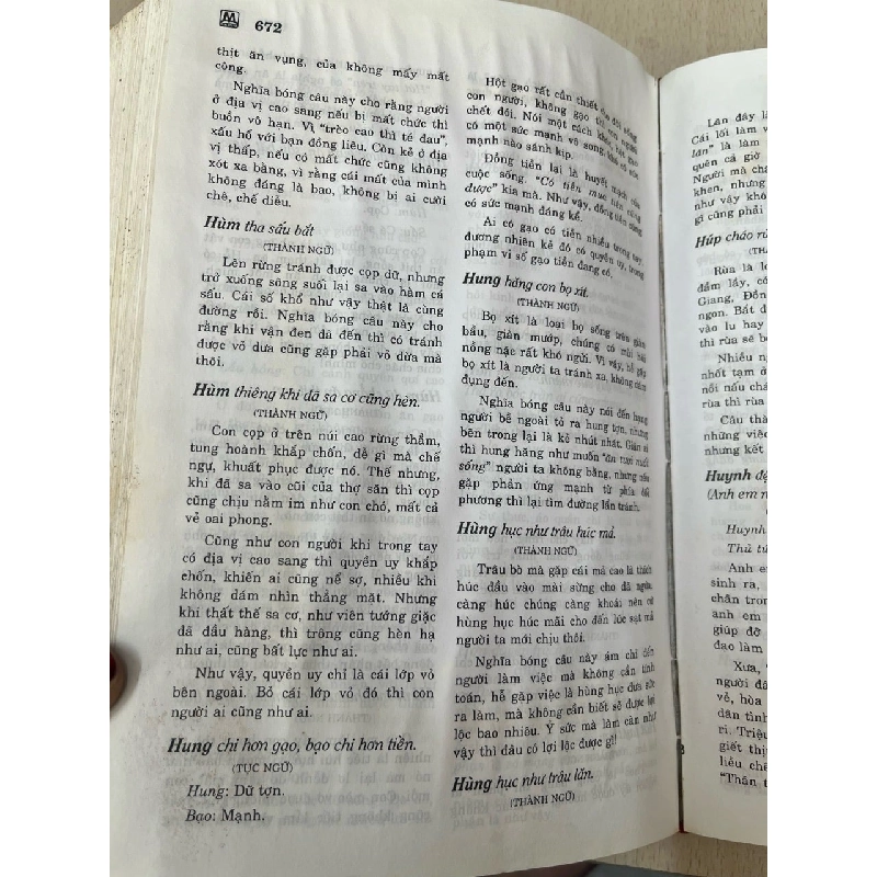 Từ điển thành ngữ, tục ngữ cao dao Việt Nam - Việt Chương 602548