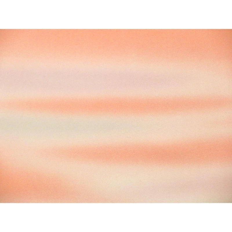 Vải phản vật dài - Hàng hiệu Authentic 877499