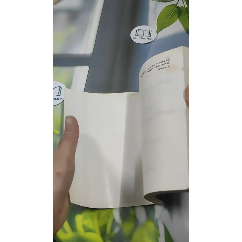 Người Đàn Bà Trong Tướng Mệnh - Lê Thành 727384