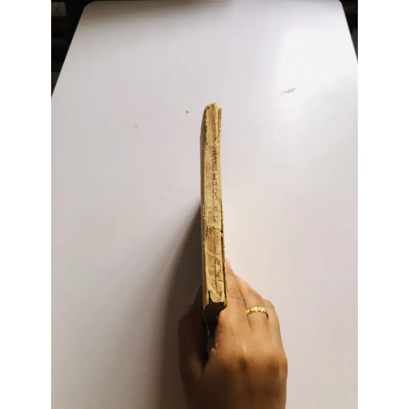 HƯỚNG ĐẠO CHO TRẺ EM 1965 752806