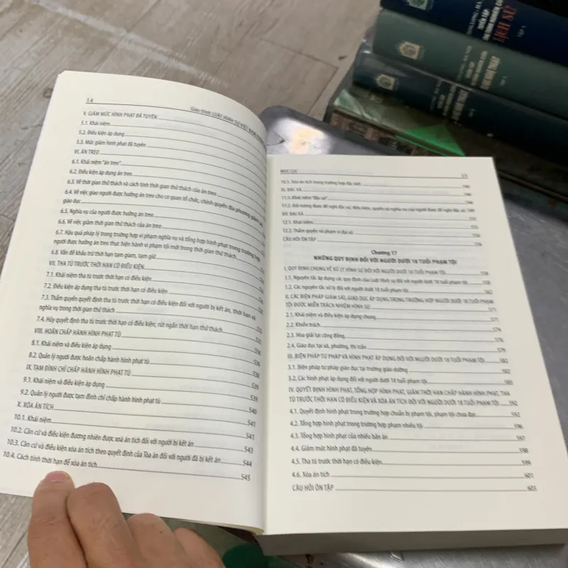 Giáo trình luật hình sự việt nam, phần chung.  754794