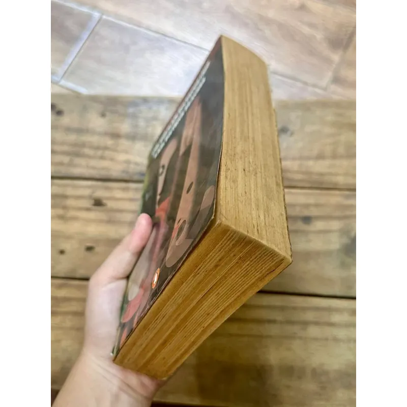 The German Dictatorship - Karl Dietrich Bracher 728998