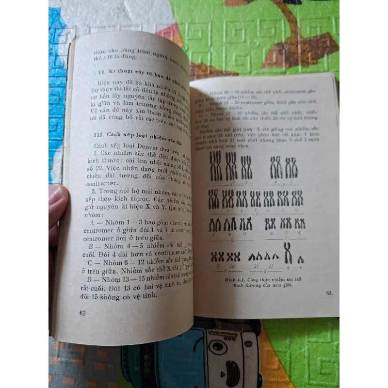 Một số chuyên đề Y học - Tập V 971383