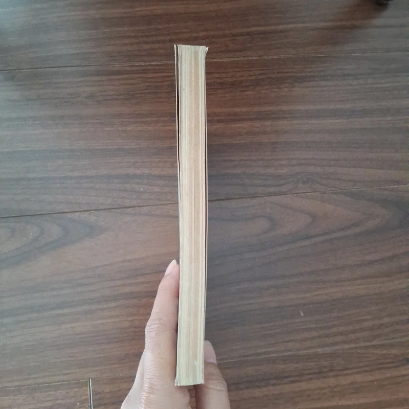 Tìm trong sương chiều 536650