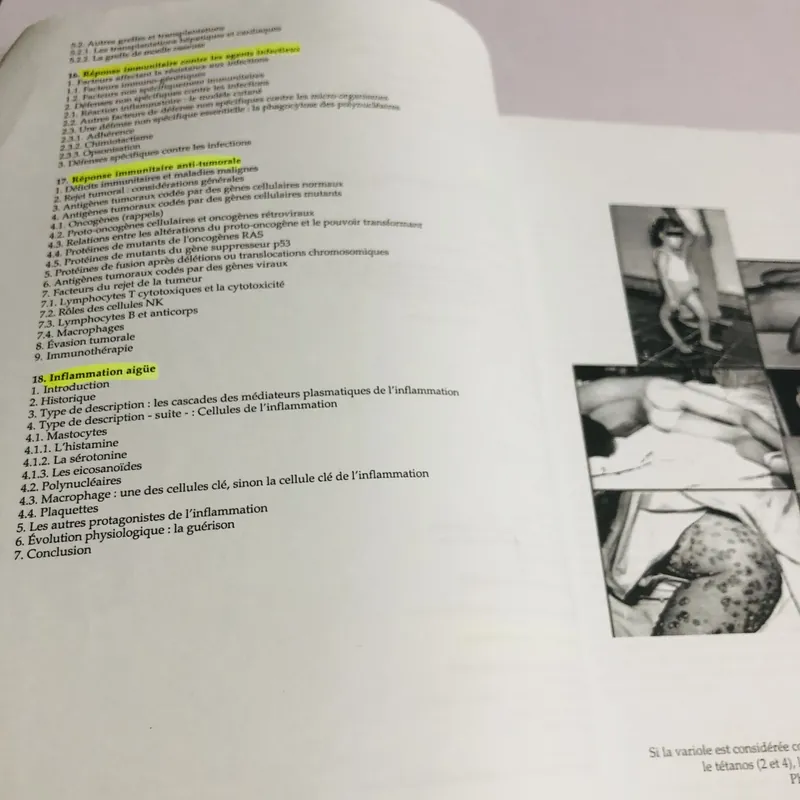 📘 IMMUNOLOGIE – Norbert Gualde Sách khổ to, 270 trang, NXB: 2000  593722