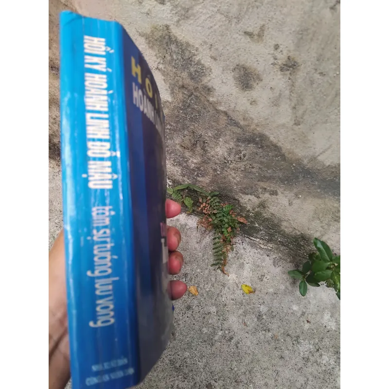 Tâm sự tướng lưu vong - hồi ký Hoành Linh Đỗ Mậu  1019162