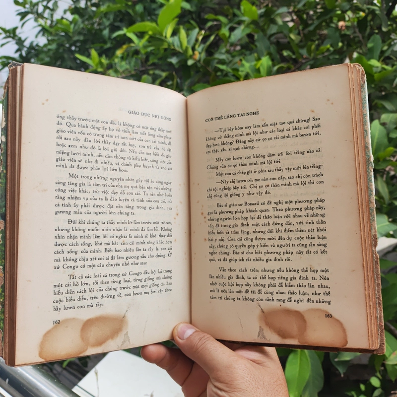 Giáo Dục Nhi Đồng 495600