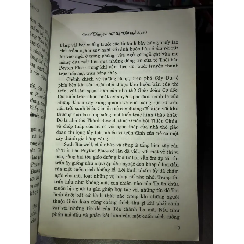 Chuyện về thị trấn nhỏ - Grace Metalious 1022507