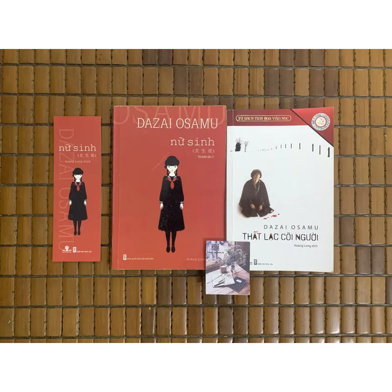 Dazai Osamu Nữ sinh, Thất lạc cõi người 689952