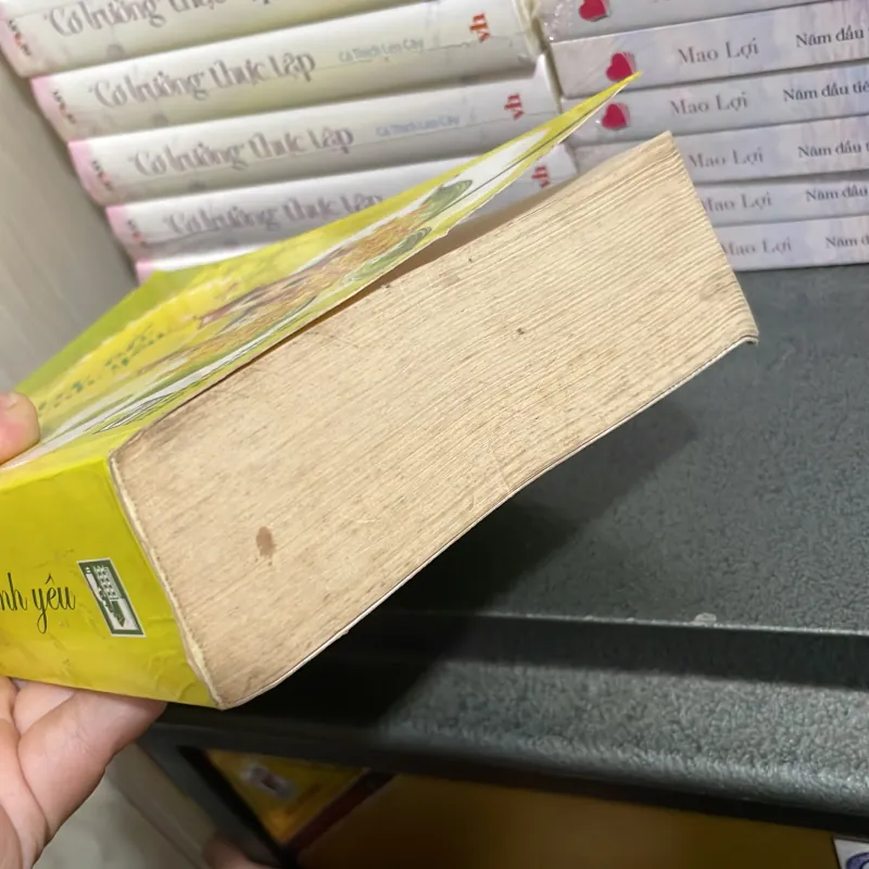 (ngôn tình) - Gia cố tình yêu - Thanh Sam Lạc Thác 1006026