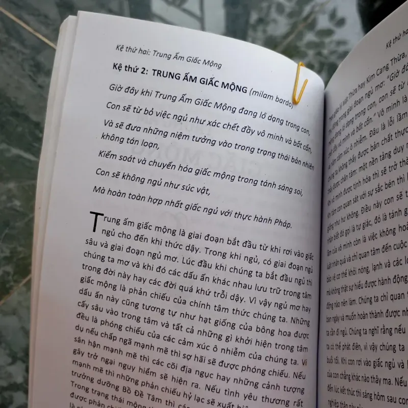 Giáo huấn về sáu cõi trung ấm  786654