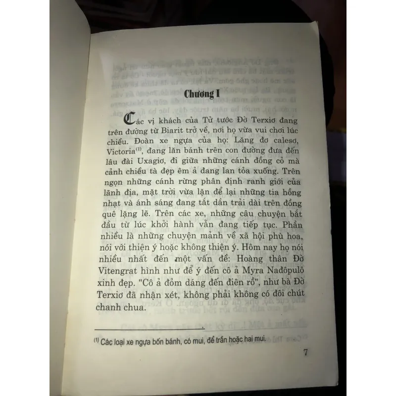 Con nai trong rừng - Delly 1013184