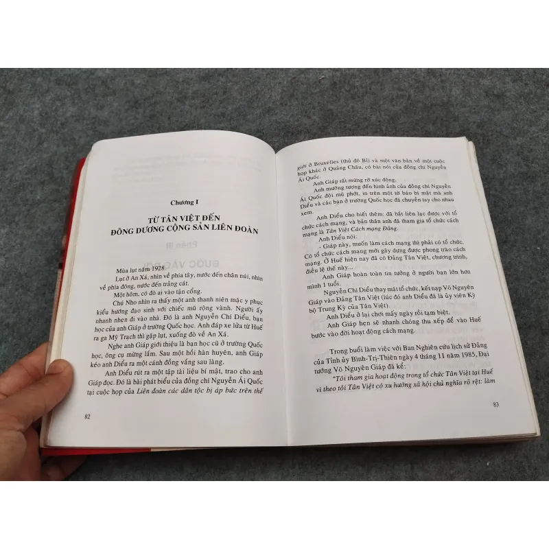 VÕ NGUYÊN GIÁP TRONG CUỘC TRƯỜNG CHINH THẾ KỶ - TRẦN THÁI BÌNH 936824