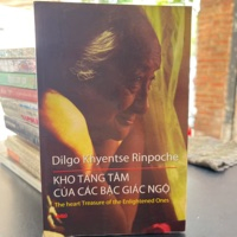 Kho Tàng Tâm Của Các Bậc Giác Ngộ - Dilgo Khyentse Rinpoche 449087