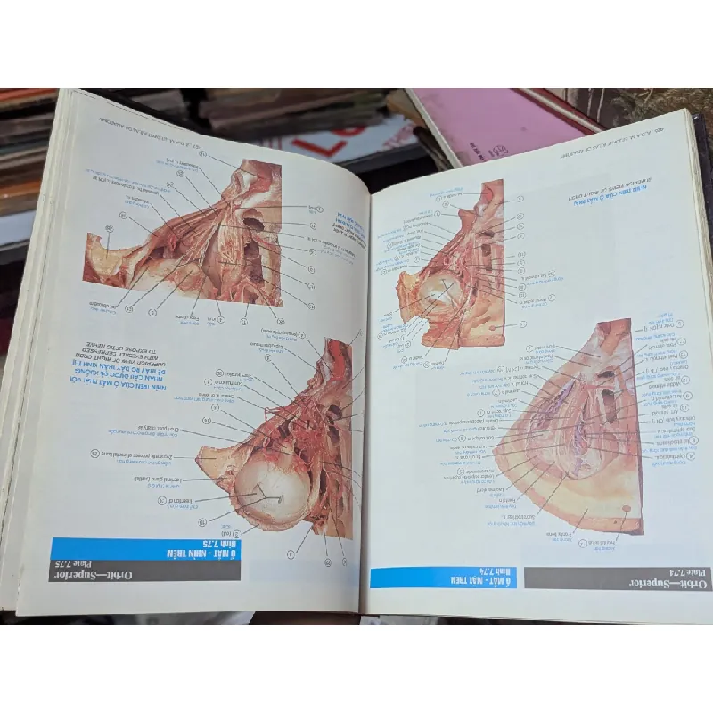 Atlas Giải Phẩu Người - Todd. R. Olson 360687