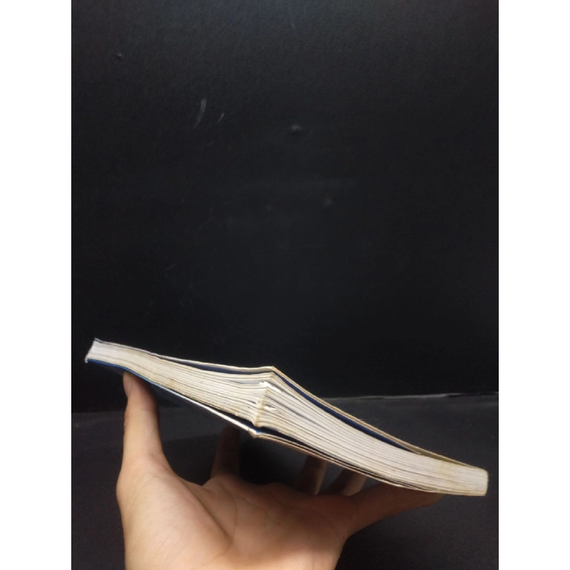 Gia tài của mẹ năm 2017 mới 80% ố nhẹ HCM2602 lịch sử 913092