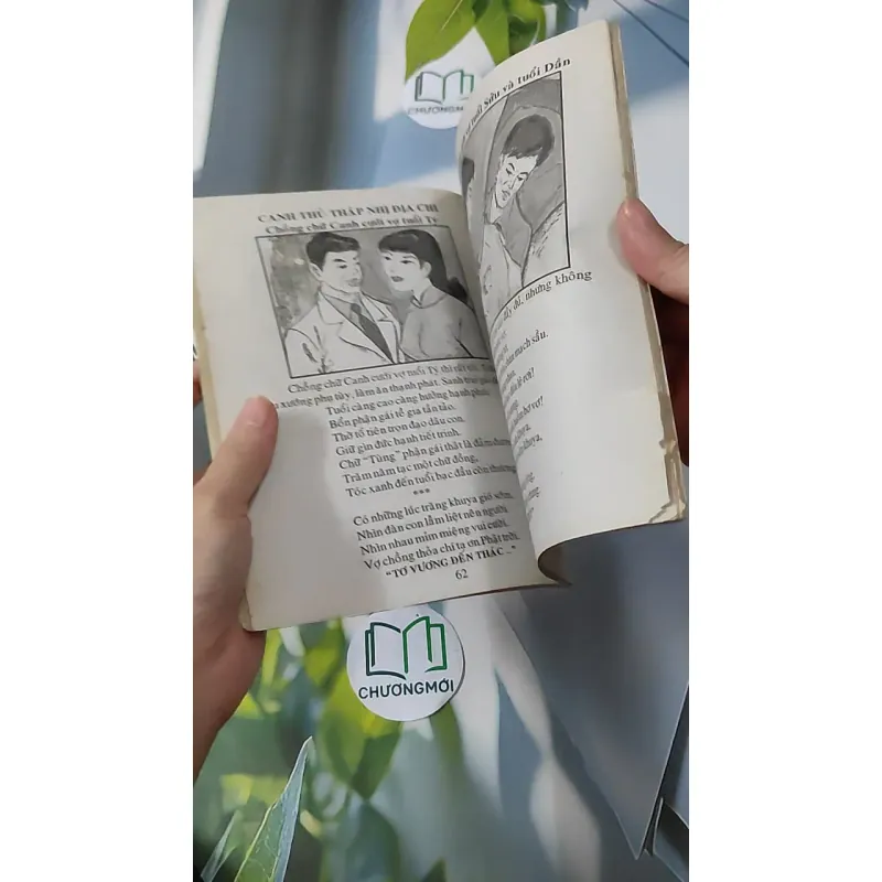 Cao Ly Đầu Hình 928569