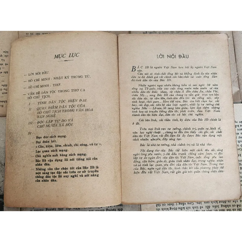 Vấn đề dân tộc trong thơ ca Hồ chủ tịch - Giáo sư Hoàng Như Mai chủ biên 708026