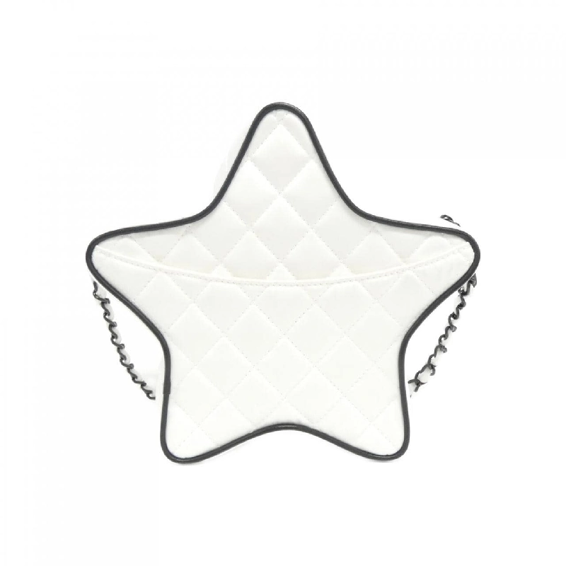 Túi xách vai Chanel AS4579 613750