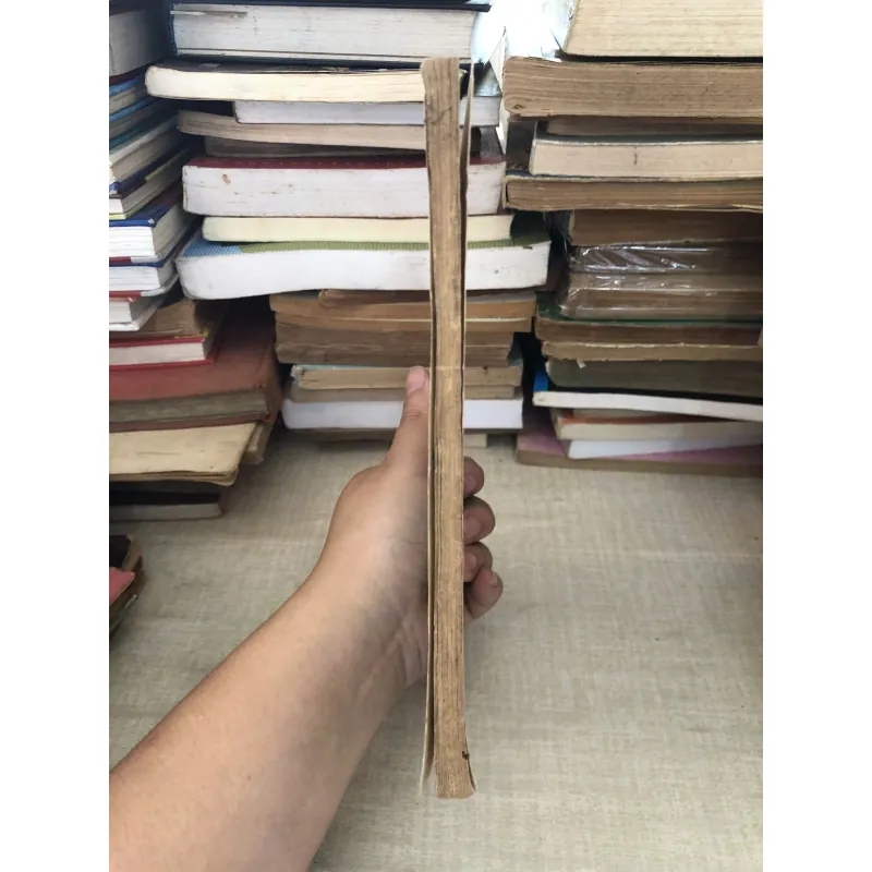 Lịch sử thế giới  995224