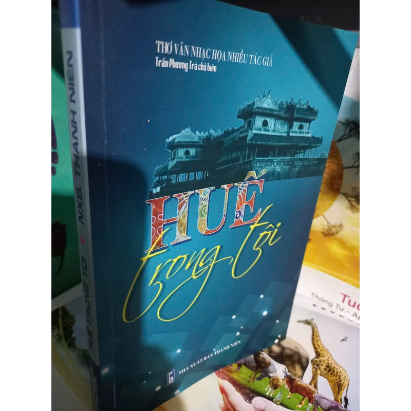 huế trong tôi 471401