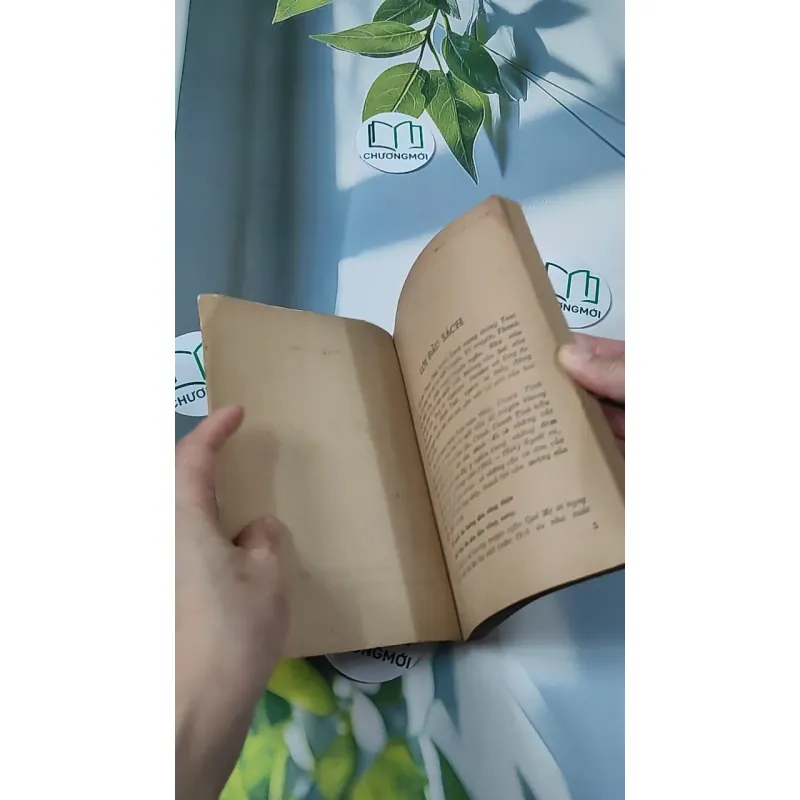 [XƯA] Quê Mẹ (1989) - Thanh Tịnh 775985