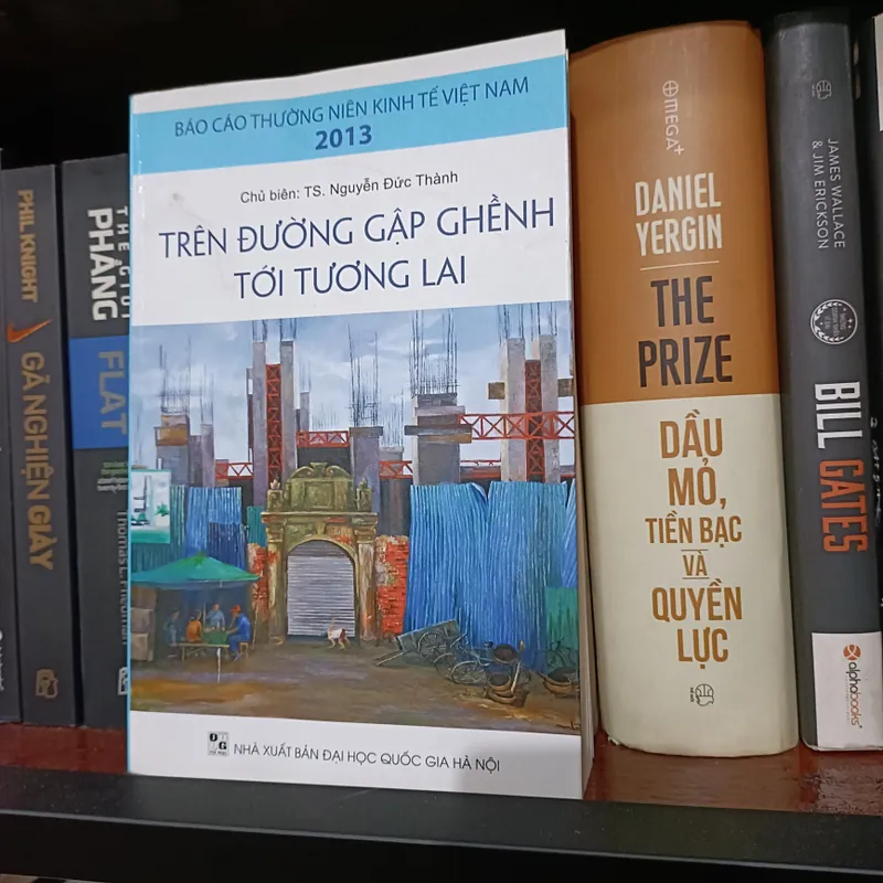 Trên đường gập ghềnh tới tương lai - TS. Nguyễn Đức Thành - Báo cáo thường niên kinh tế 606480