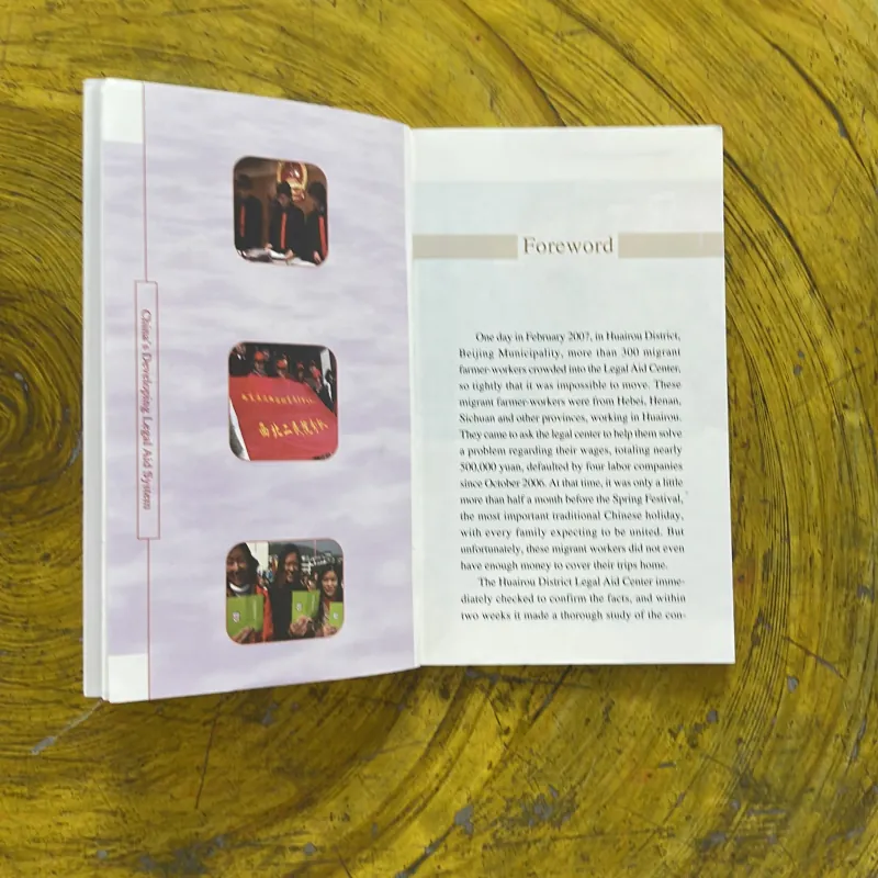 CHINA’S DEVELOPING LEGAL AID SYSTEM 1002596