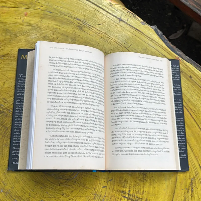 TẦM NHÌN THAY ĐỔI QUỐC GIA- ĐIỀU KỲ DIỆU Ở DUBAI 736268