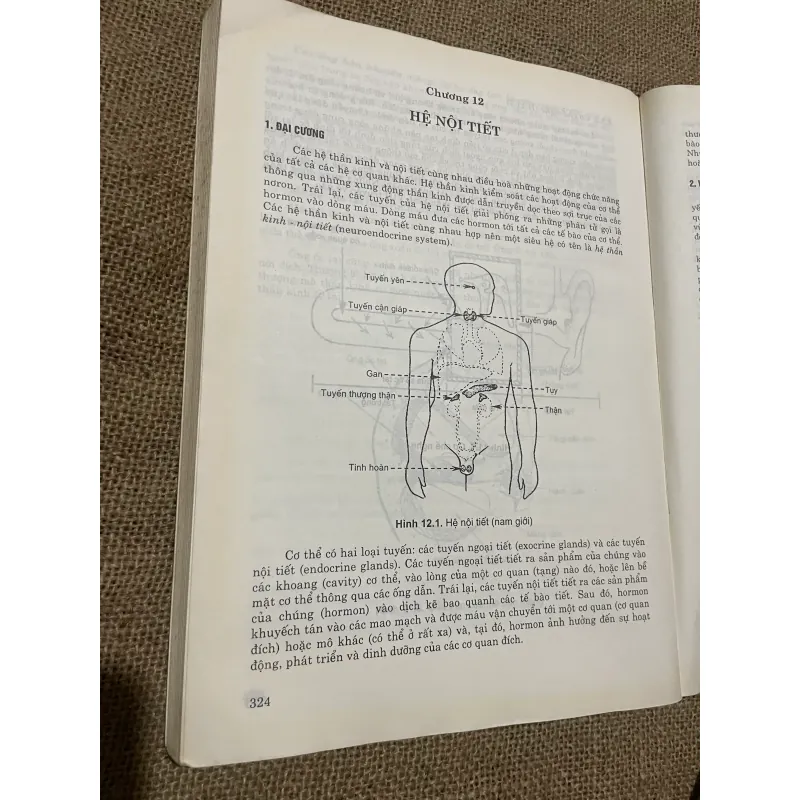 GIẢI PHẪU BỆNH HỌC, HƠN 600 TRANG, KHỔ LỚN 565371