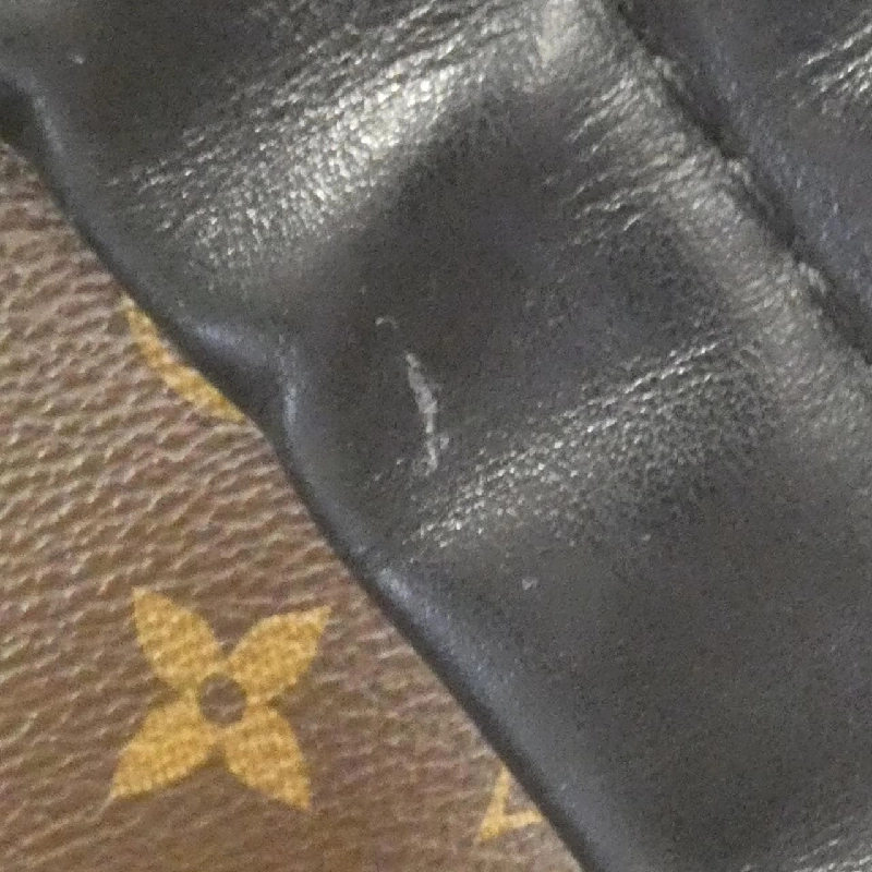 Balo Louis Vuitton Monogram Macassar Josh M45349 - Hàng hiệu Chính hãng 764350