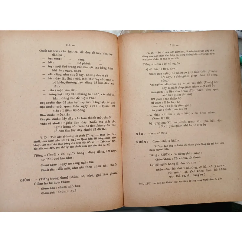 VIỆT NGỮ TINH NGHĨA TỪ ĐIỂN (2 TẬP) - LONG ĐIỀN NGUYỄN VĂN MINH  705112