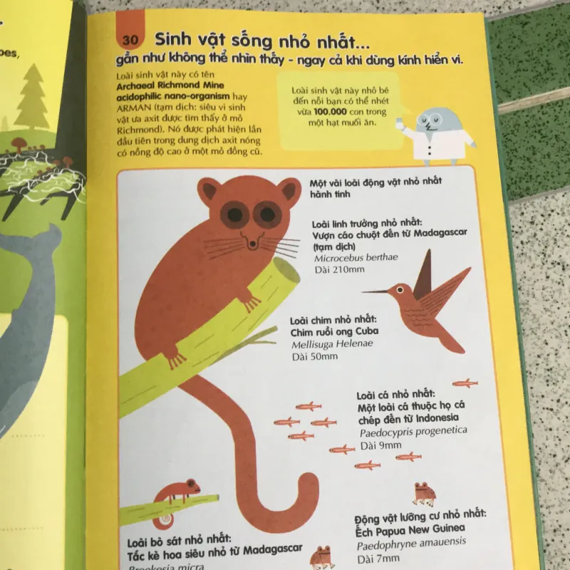 Combo 2 cuống 100k  1031149