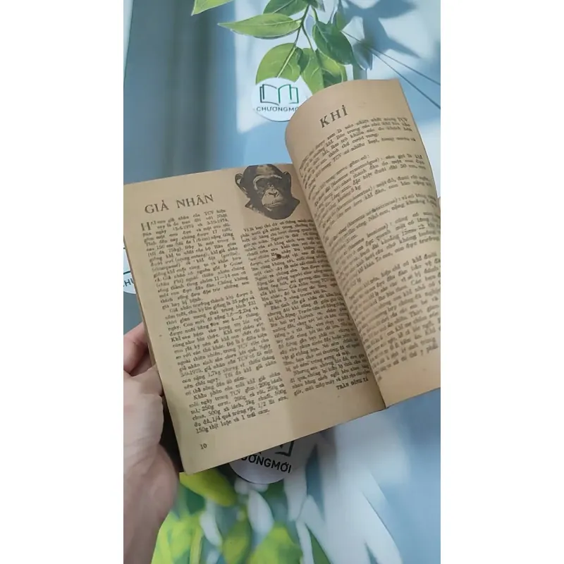 Tạp Chí Khoa Học Phổ Thông: Thảo Cầm Viên TP. Hồ Chí Minh 775989