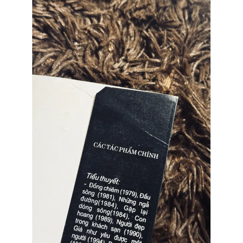 Combo 2 tác phẩm Hoàng Minh Tường 1020725