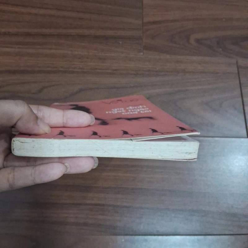 Gia đình ngọt ngào của tôi 506962