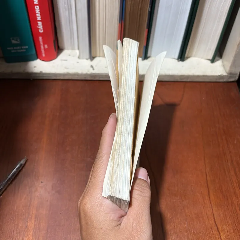 II Sách Phật Giáo: Hạnh Phúc Mộng Và Thực - Nhất Hạnh - Lá Bối - 1999 720529