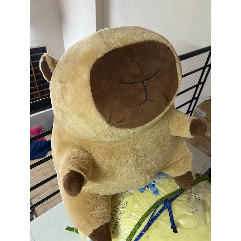 Gấu Capybara 1071716