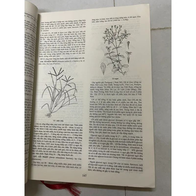 Từ Điển Bách khoa Dược Học  553299