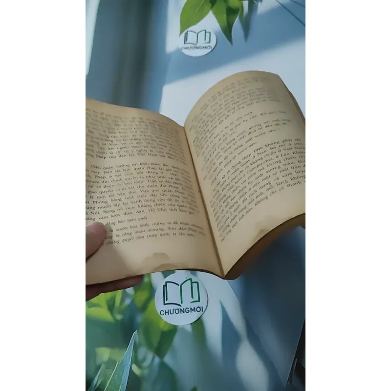 [MIỄN PHÍ BỌC SÁCH] [XƯA] [HIẾM] Cách Mạng Mùa Thu Và Giang Sơn Tuổi Trẻ (1992) 928583