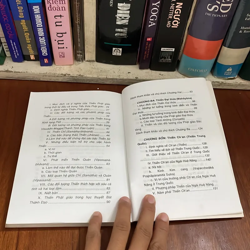 II Luận Án Tiến Sĩ: Lịch Sử Phát Triển Của Thiền Phật Giáo - Nguyên Hương - 2005 558231