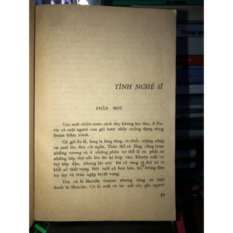 Con chim trốn tuyết - Paul Gallico 793098