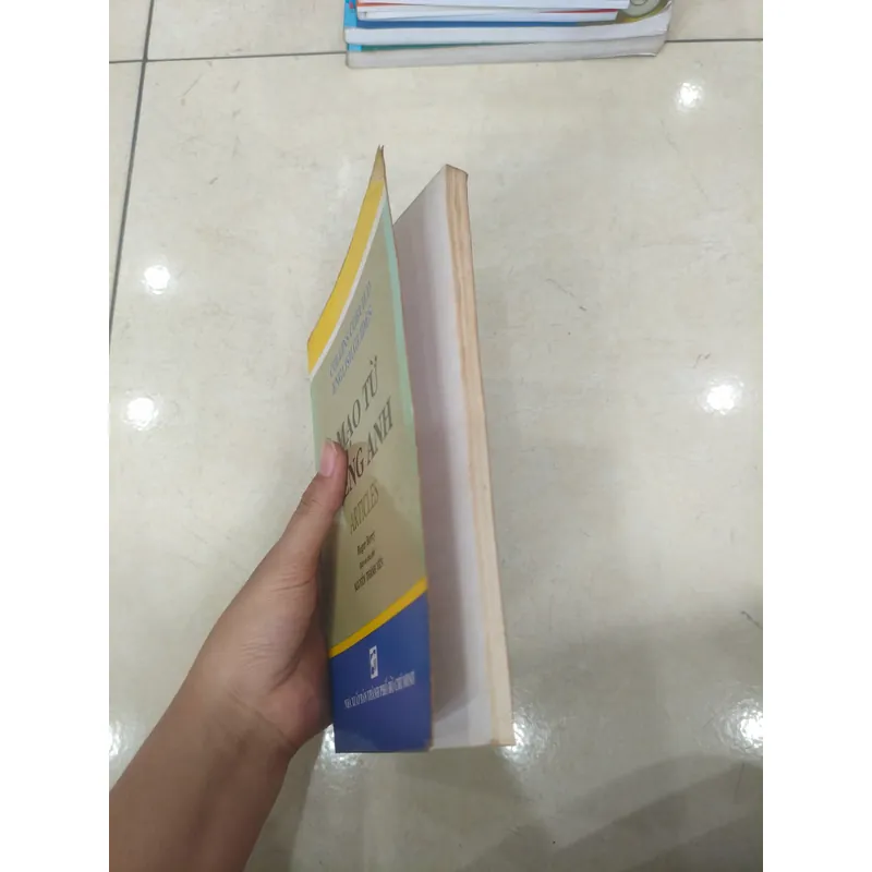 Mạo từ tiếng Anh 🌱 689273