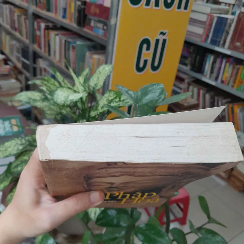 LƯỢC GIẢNG KINH PHÁP HOA - THÍCH THIỆN SIÊU 1041443