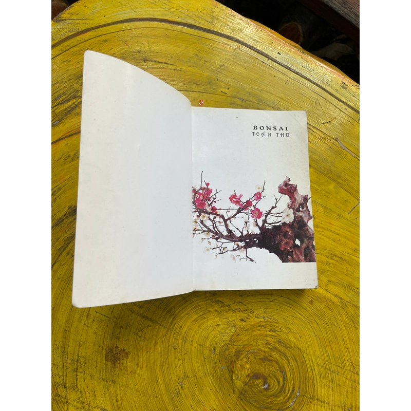 BONSAI TOÀN THƯ- HARRY TOMLINSON 543393
