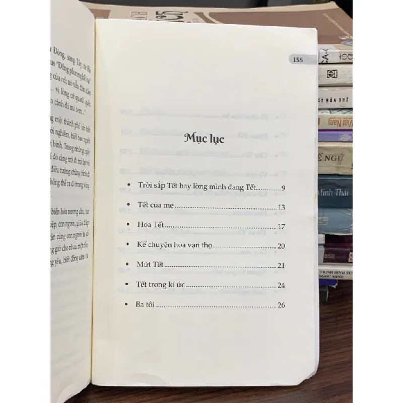 Tết nhớ người ở xa – Hoàng Việt Thắng 589415