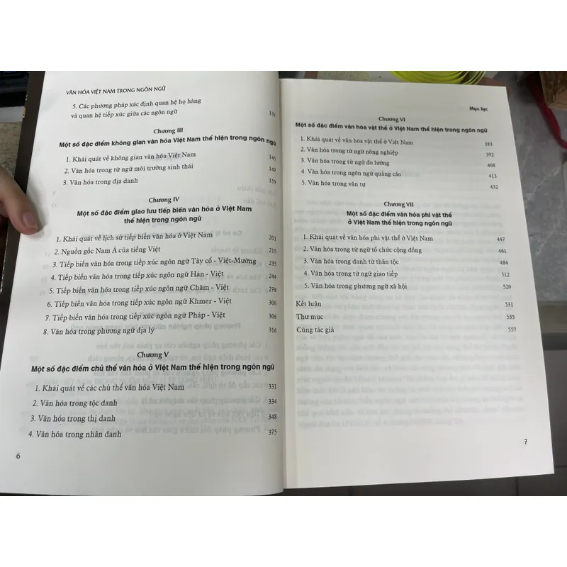 VĂN HOÁ VIỆT NAM TRONG NGÔN NGỮ 602993