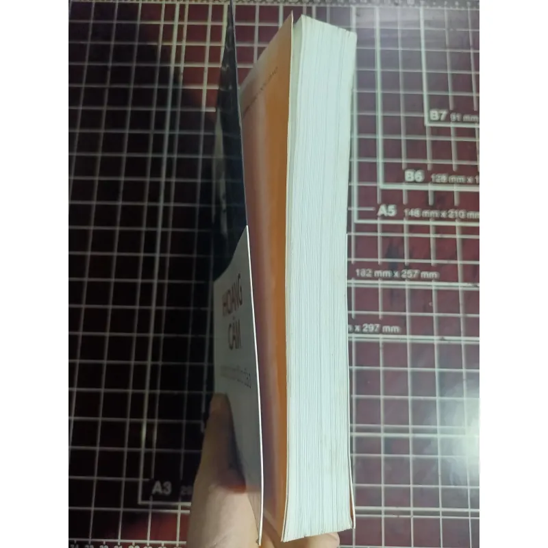 Hoàng Cầm hồn thơ độc đáo - Lại Nguyên Ân 754638